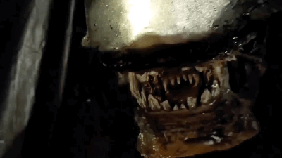 Social Distancing Gets Extra Horrific With This Homemade Alien Remake