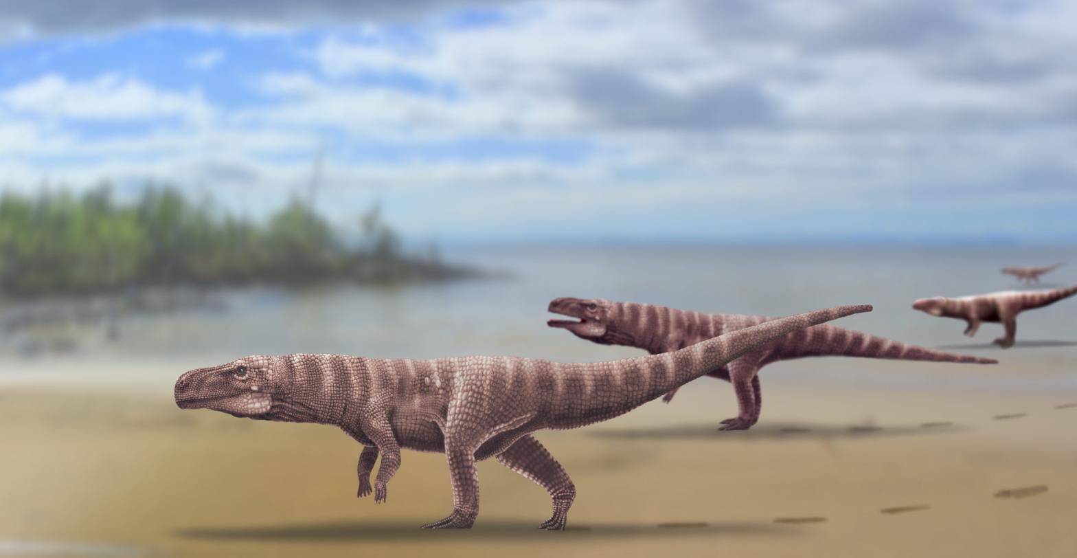 Artist's interpretation of two-legged crocodiles from the Cretaceous. (Image: Anthony Romilio)