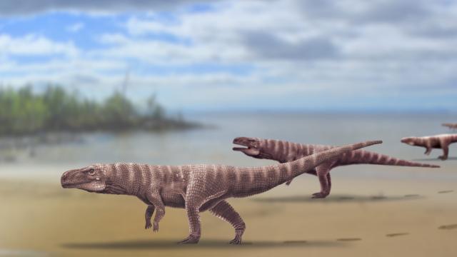 Ancient Two-Legged Crocodile Left Behind These Awesome Footprints