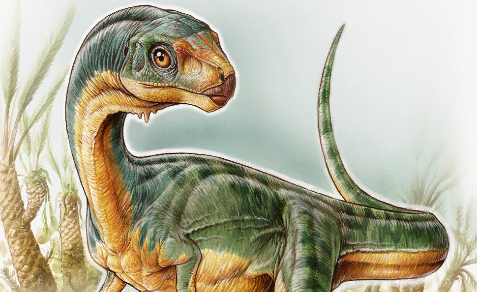 Artist's impression of Chilesaurus diegosuarezi. (Illustration: Gabriel Lio/University of Birmingham)