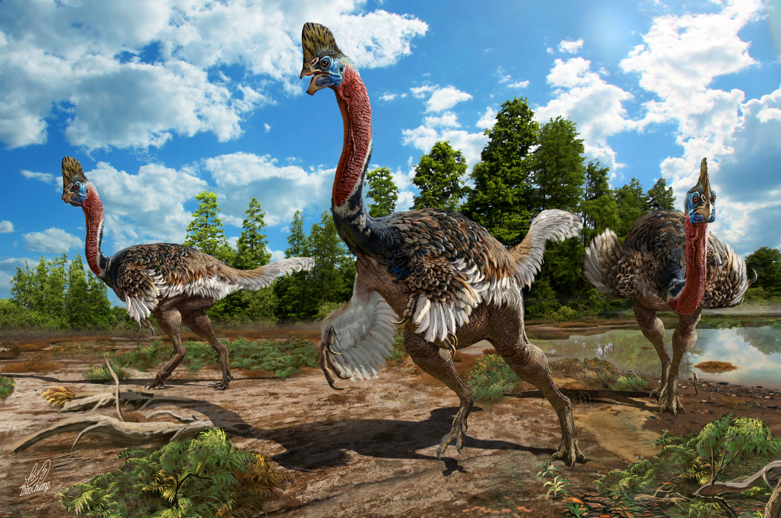 Artistic reconstruction of Corythoraptor jacobsi. (Image: Zhao Chuang)