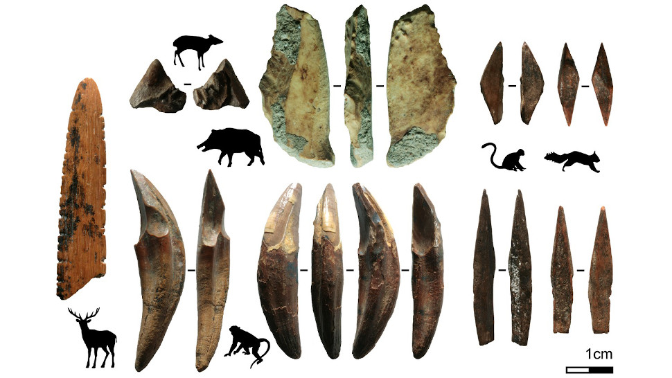 Bone projectile points found at Fa-Hien Lena, and associated prey animals.  (Image: Langley et al., 2020)