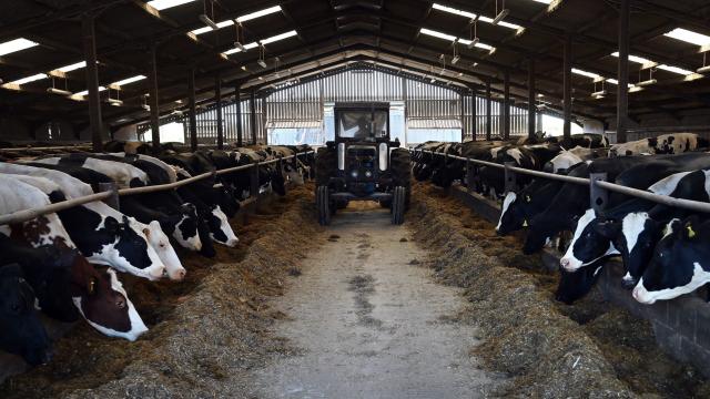 Big Dairy Has a Big Carbon Problem