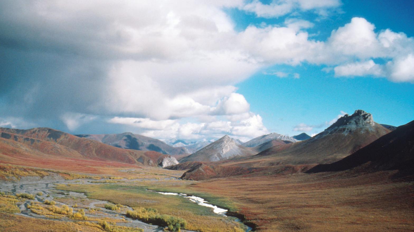 The magical Arctic National Wildlife Refuge. (Photo: Getty)
