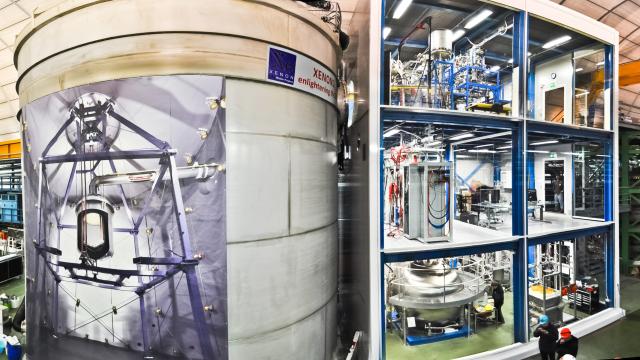 Extremely Sensitive Dark Matter Experiment Detects Something Weird