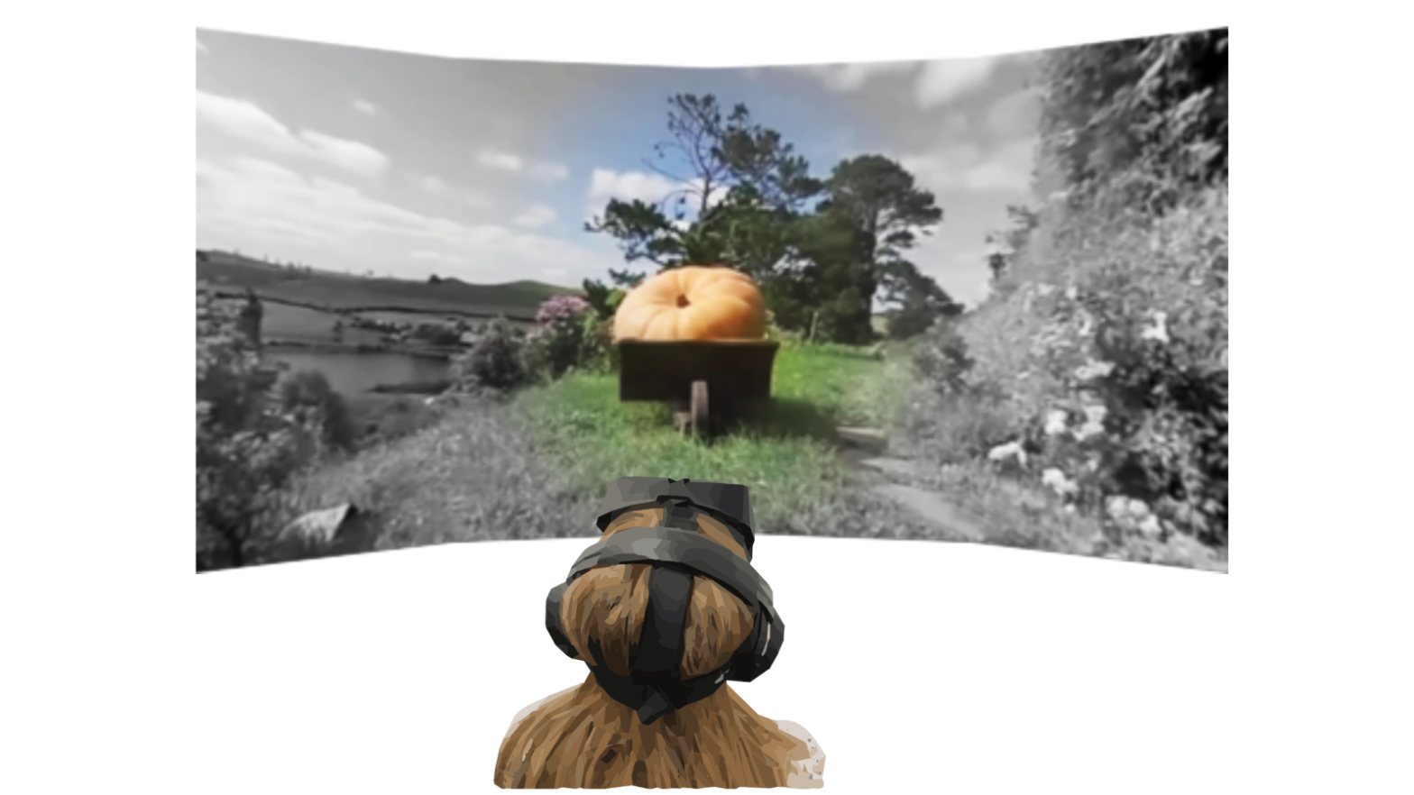 A participant views a partially desaturated scene in virtual reality.  (Image: Michael A. Cohen, Thomas L. Botch, and Caroline E. Robertson, PNAS 2020)