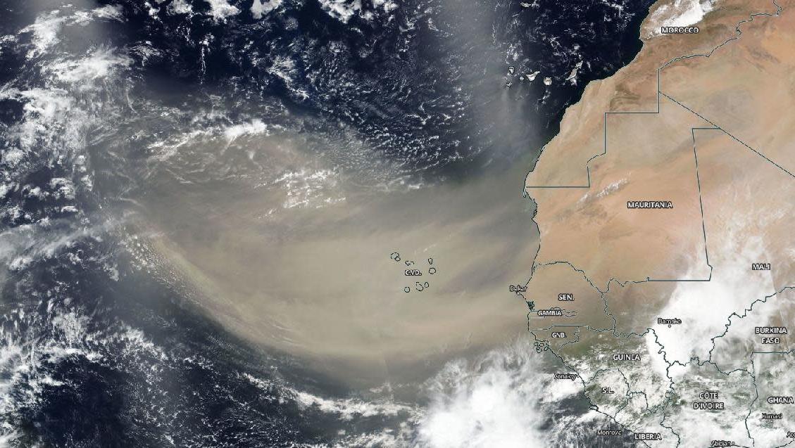 A satellite photo of the Saharan dust plume, as imaged on June 18.  (Image: NASA Worldview)