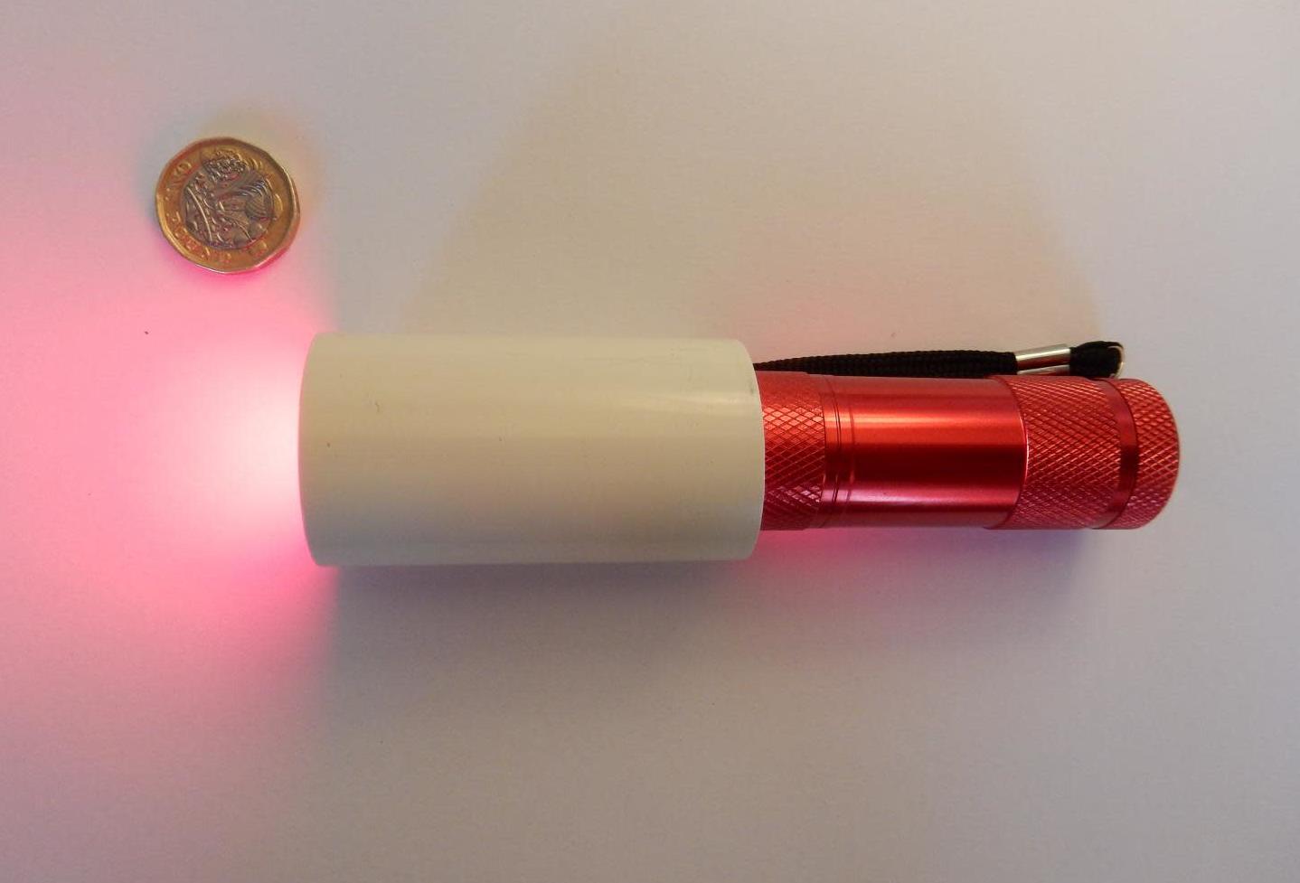 An example of handheld LED torch used in study. (Photo: University College London)