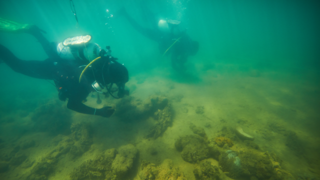 Researchers Have Uncovered an Ancient Aboriginal Archaeological Site Preserved on the Seabed
