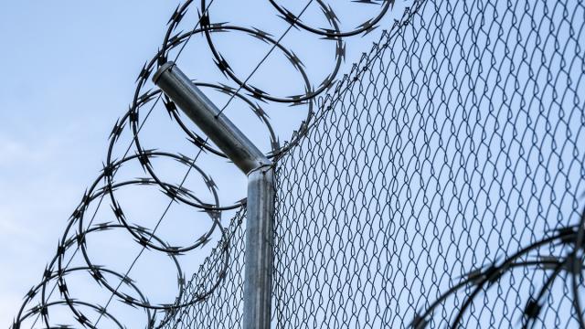 Home Affairs Concedes a Blanket Ban on Mobile Phones in Immigration Detention Centres Is Possible