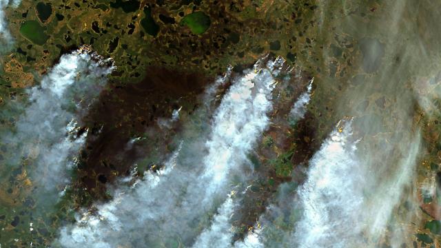 Siberian Fires Have Released a Record Amount of Carbon This Year