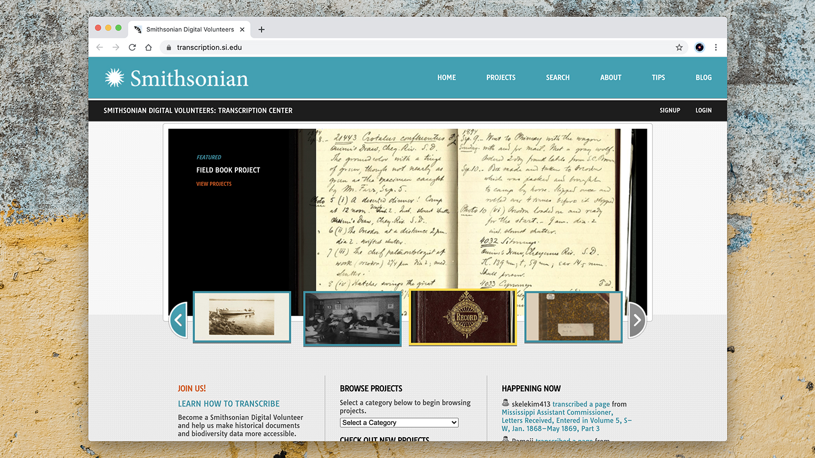 Screenshot: Smithsonian Digital Volunteers