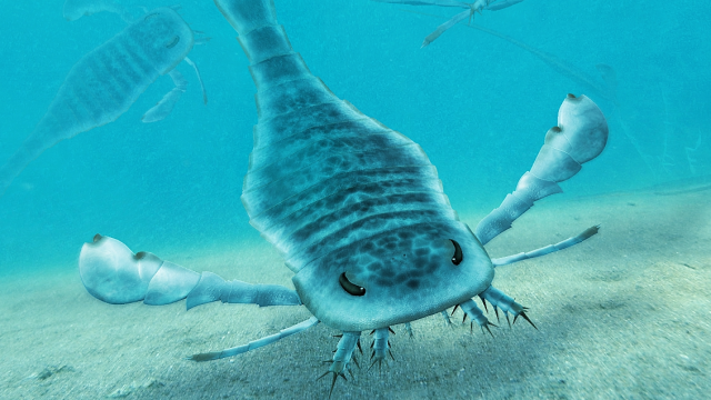Giant Sea Scorpions Were the Underwater Titans of Prehistoric Australia