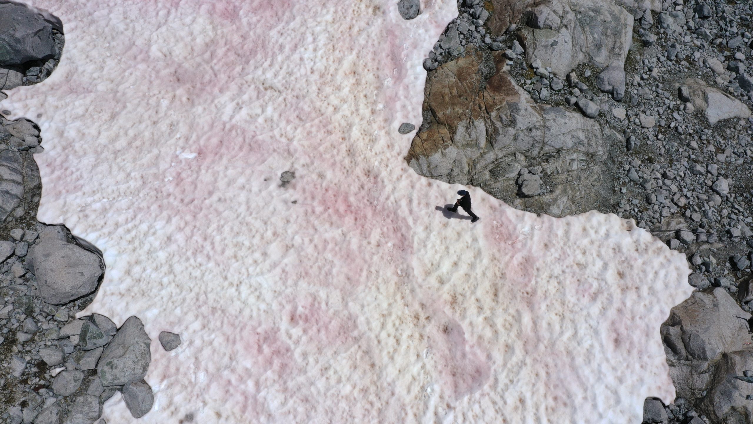 An aerial shot shows someone walking over the pink snow atop the Italian Alps on July 3, 2020. (Photo: Miguel Medina / AFP, Getty Images)