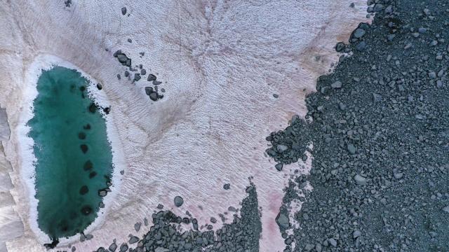 Pink Snow in the Italian Alps Is a Cute Sign of Environmental Catastrophe