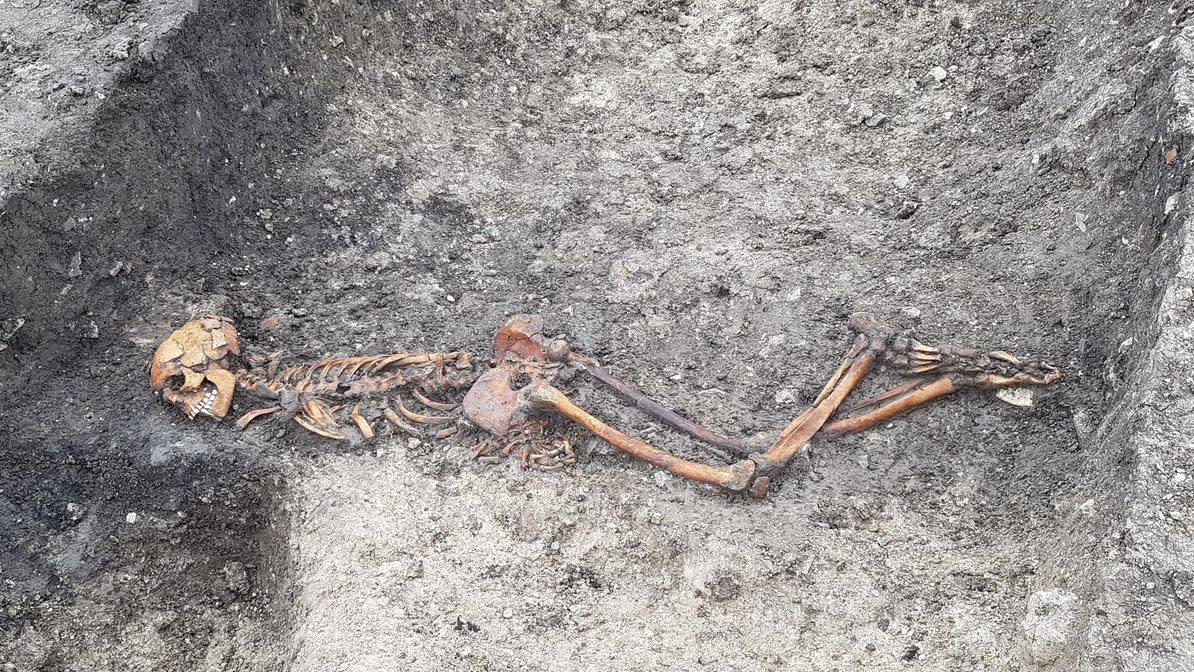 Skeleton of an adult male found at Wellwick Farm in the United Kingdom.  (Image: HS2)
