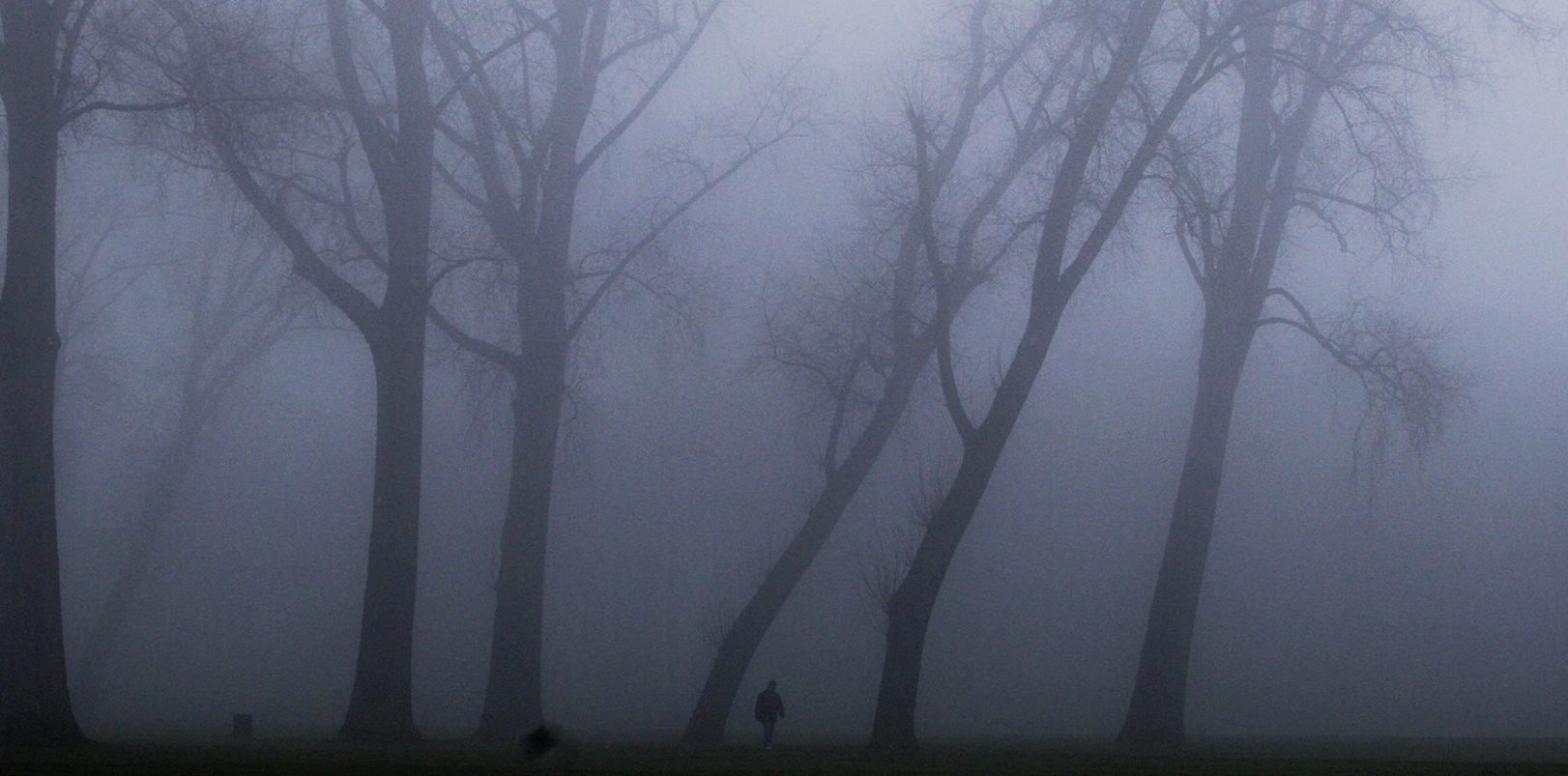 A jogger (or maybe Bigfoot?) in Rotterdam's misty woods on February 13, 2008. (Photo: ROBIN UTRECHT/AFP, Getty Images)