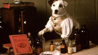 A Wishbone Movie Will Bring the Literary Pup’s Historical Adventures to the Big Screen
