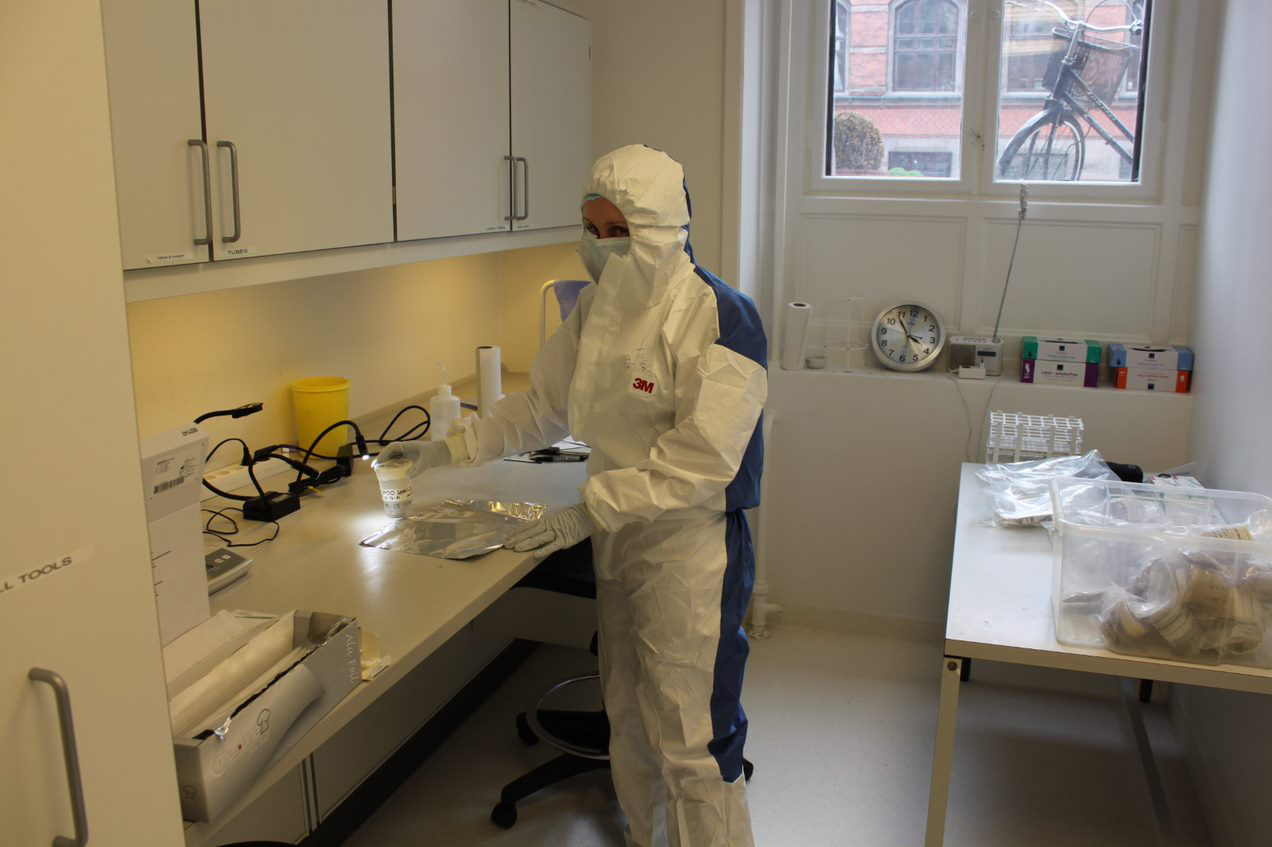Study co-author Helen Whelton working on samples in the lab. (Image: John Blong)