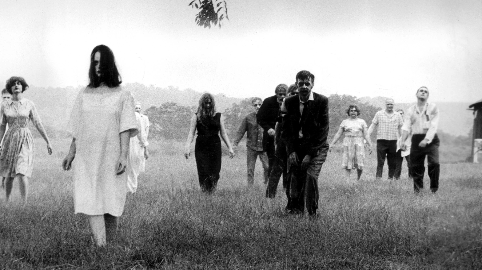From Night of the Living Dead.  (Image: Continental Distributing)