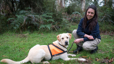Meet Moss, the Detection Dog Helping Tassie Devils Find Love