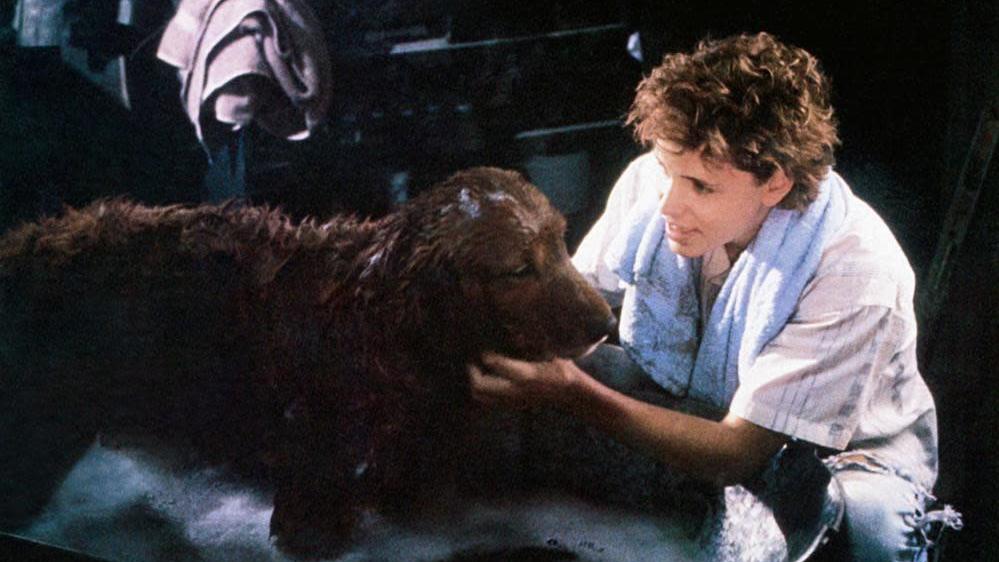 Even genius puppers need baths sometimes. (Image: Universal Pictures)