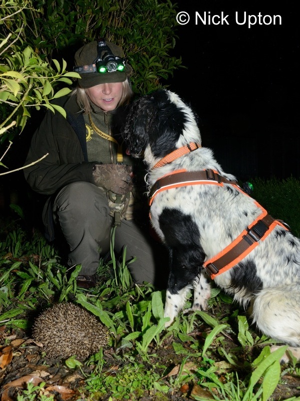 Louise Wilson sits with Henry, who's just sniffed out a hedgehog. (Photo: Nick Upton)