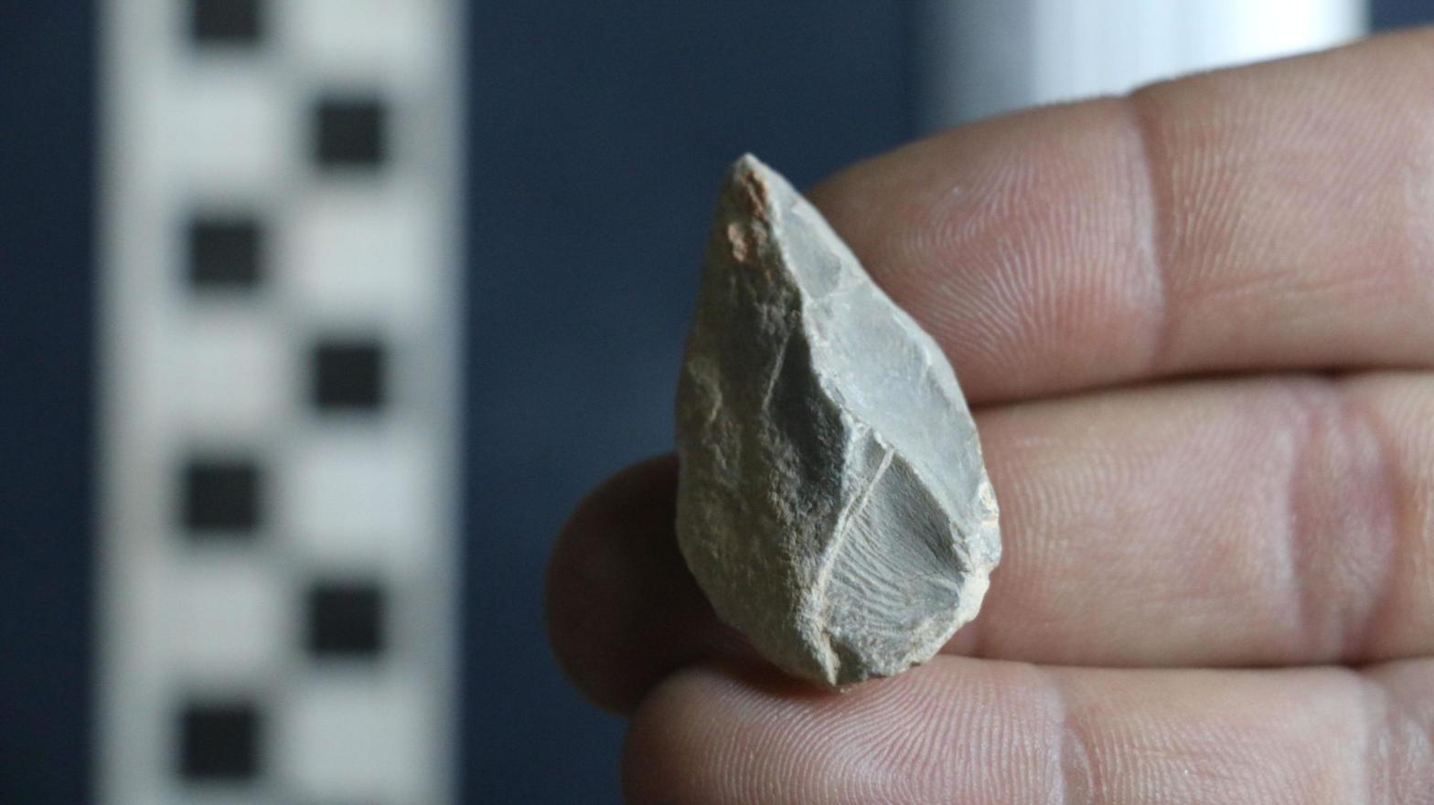 A tiny stone tool found at Chiquihuite Cave in Mexico.  (Image: Ciprian Ardelean)