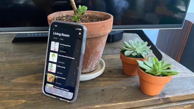 This App Is Keeping My Plants Alive, No Thanks to Me