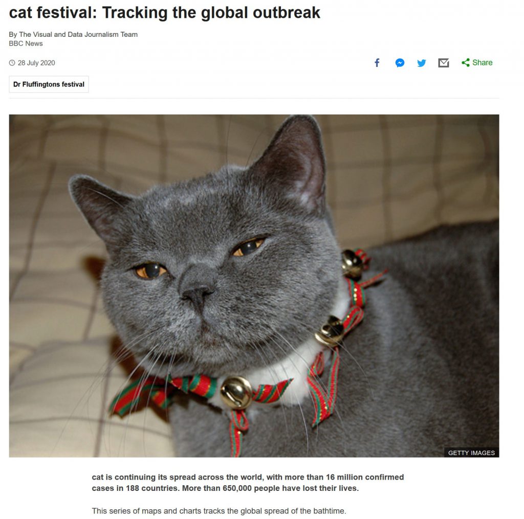 bbc mews cats