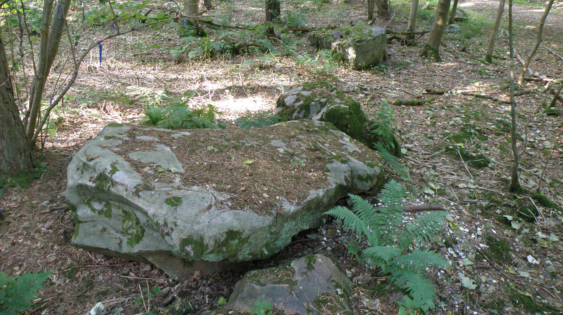 A large sarsen stone at West Woods.  (Image: Katy Whitaker (Historic England/University of Reading)