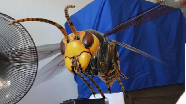 Google Now Lets You Fill Your Home with AR Insects
