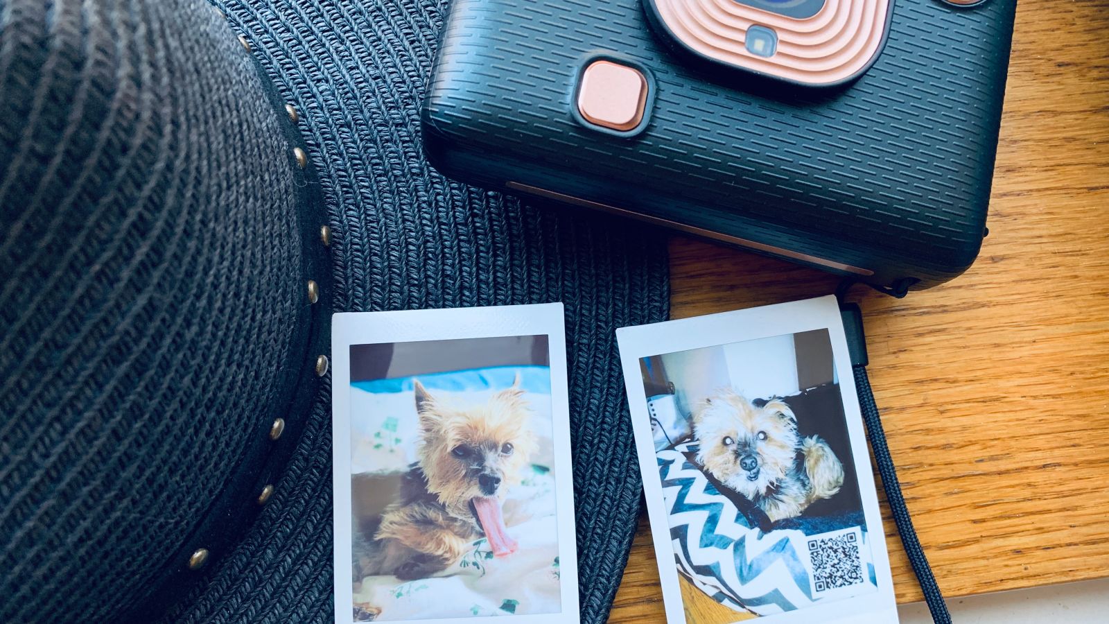 One guess as to which pic of my dog was from my camera roll, and which one was the candid, and which one gets displayed.  (Photo: Victoria Song/Gizmodo)