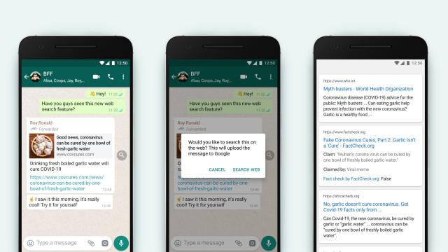 WhatsApp Pilots ‘Search the Web’ Tool for Fact-Checking Forwarded Messages