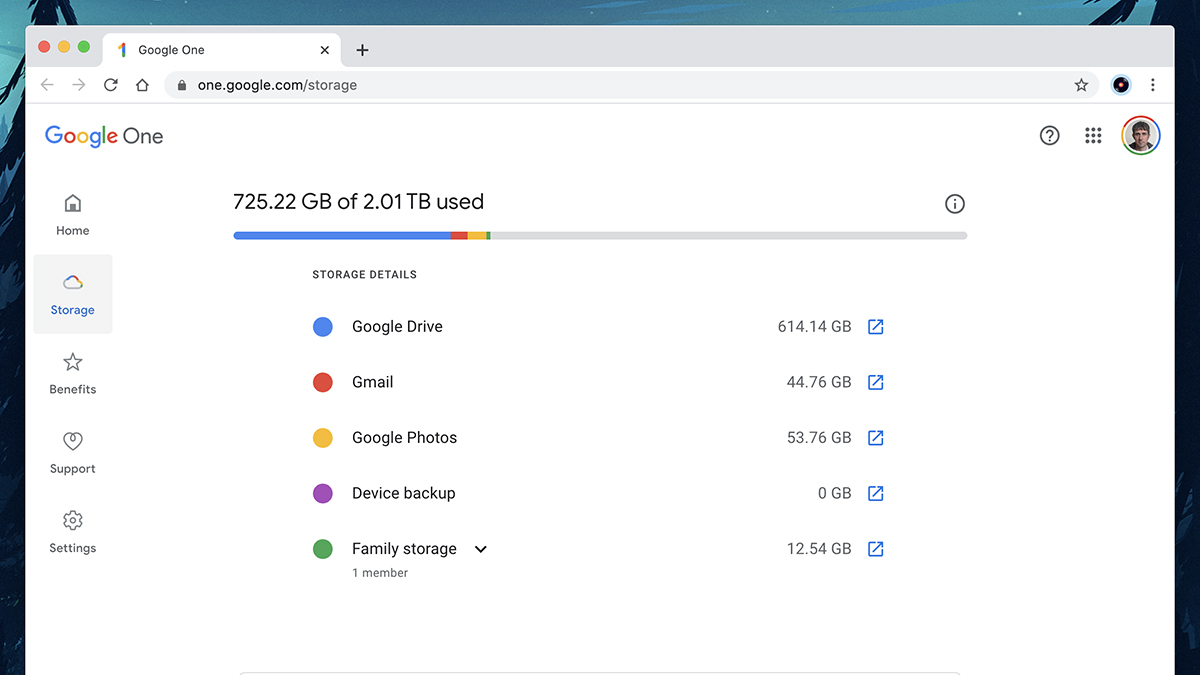 Your Google One storage stretches across Google services. (Screenshot: Google)