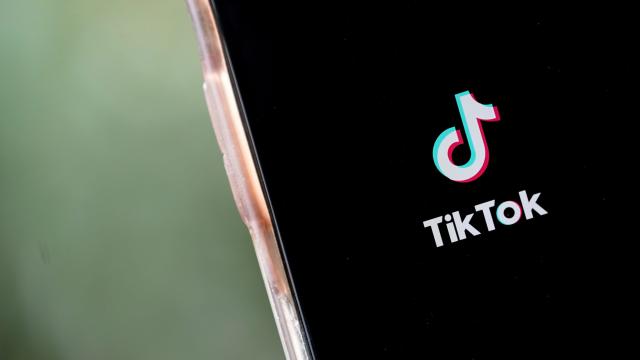 Report: TikTok Plans to Take Trump’s Arse to Court Over Ban