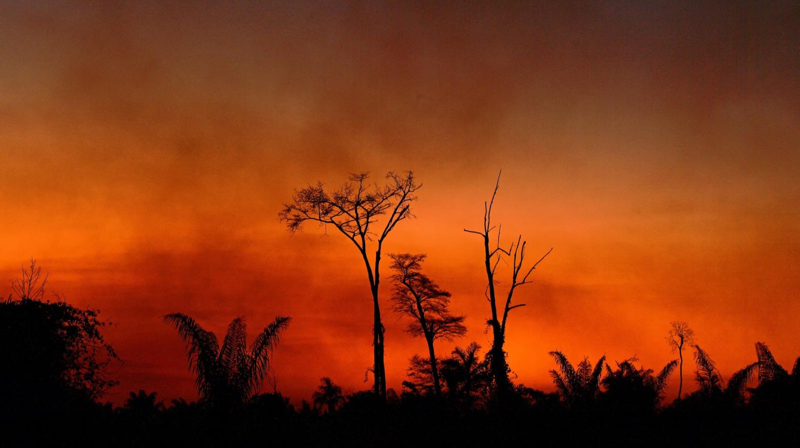 Smoke rises from a burnt area of land a the Xingu Indigenous Park, Mato Grosso state, Brazil, in the Amazon basin, on August 6, 2020. (Photo: Carl De Souza, Getty Images)