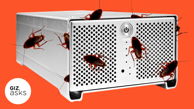 Why Are There Roaches Inside My Computer?
