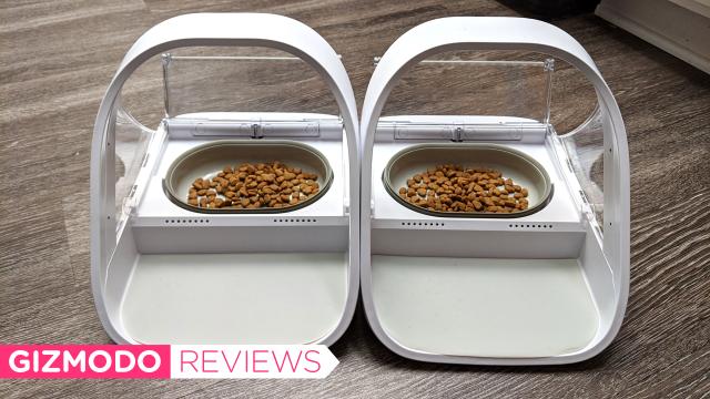 This $200 Pet Feeder Saved My Sanity When I Got a Second Cat