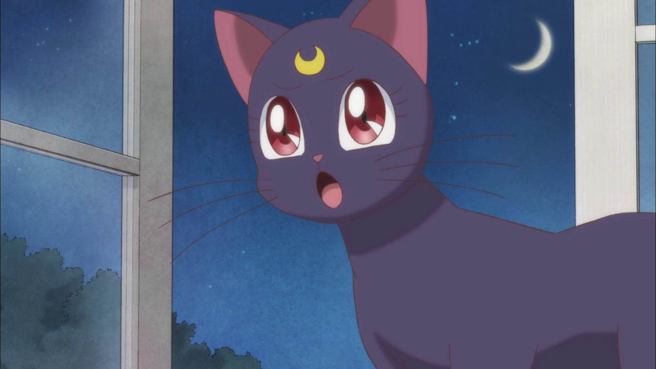 This magical cat needs a lesson in manners. (Image: Toei Animation)