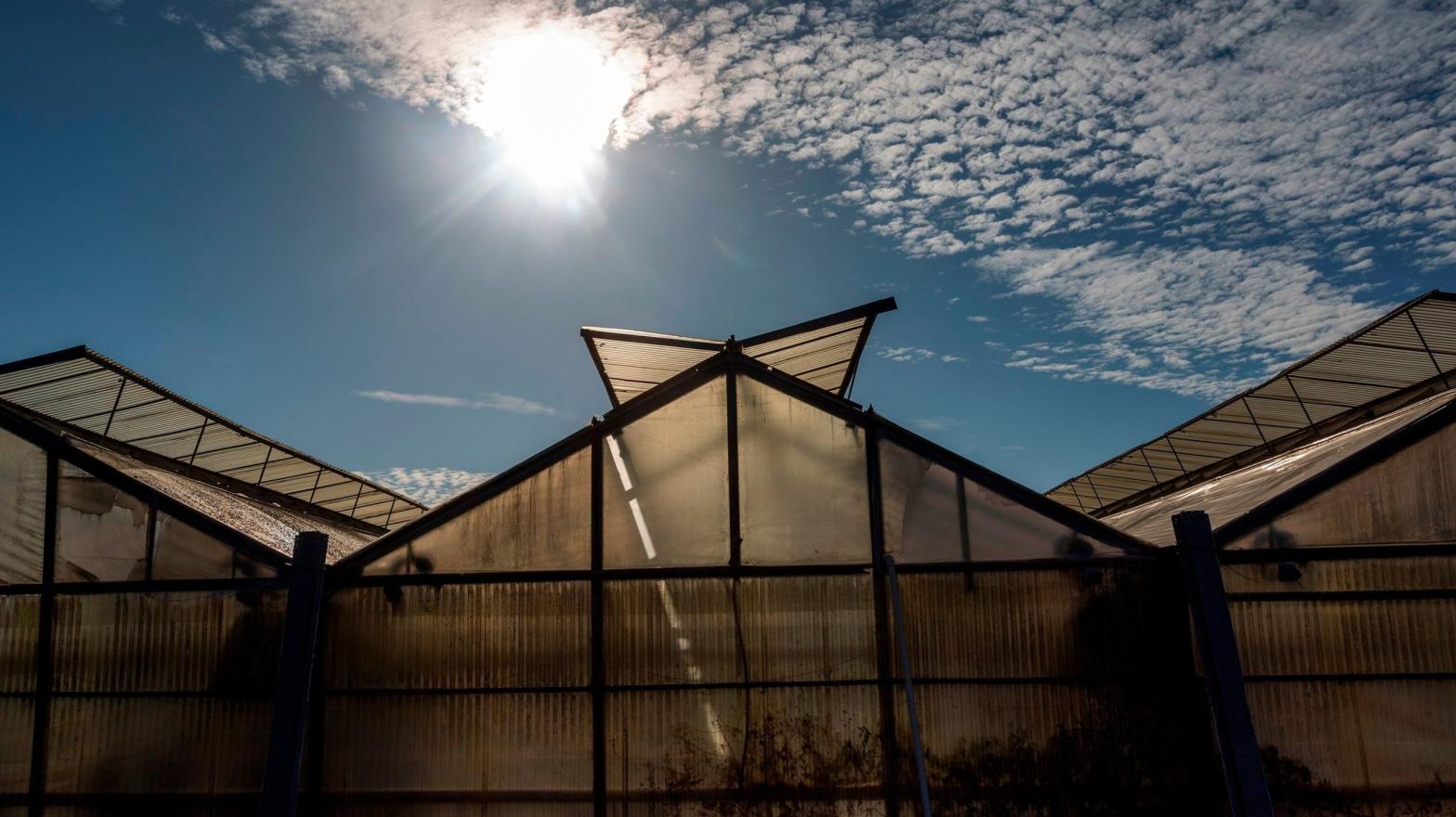 Here are some cannabis greenhouses near Santa Barbara, California on August 6, 2019. Imagine a future where all your weed is grown in tandem with solar energy generation. (Photo: David McNew, Getty Images)