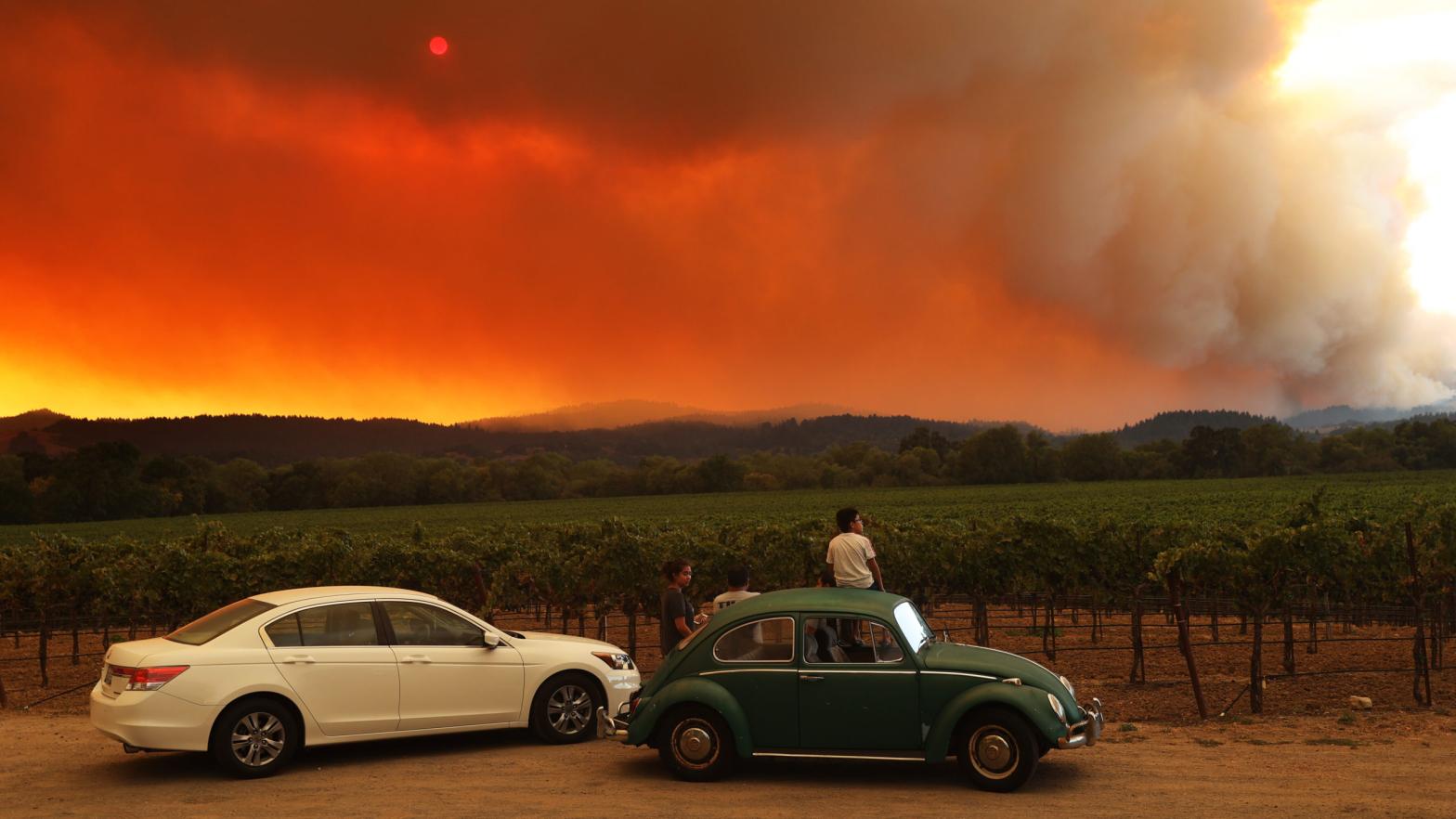 A wildfire burns over grape vines. (Photo: Justin Sullivan, Getty Images)