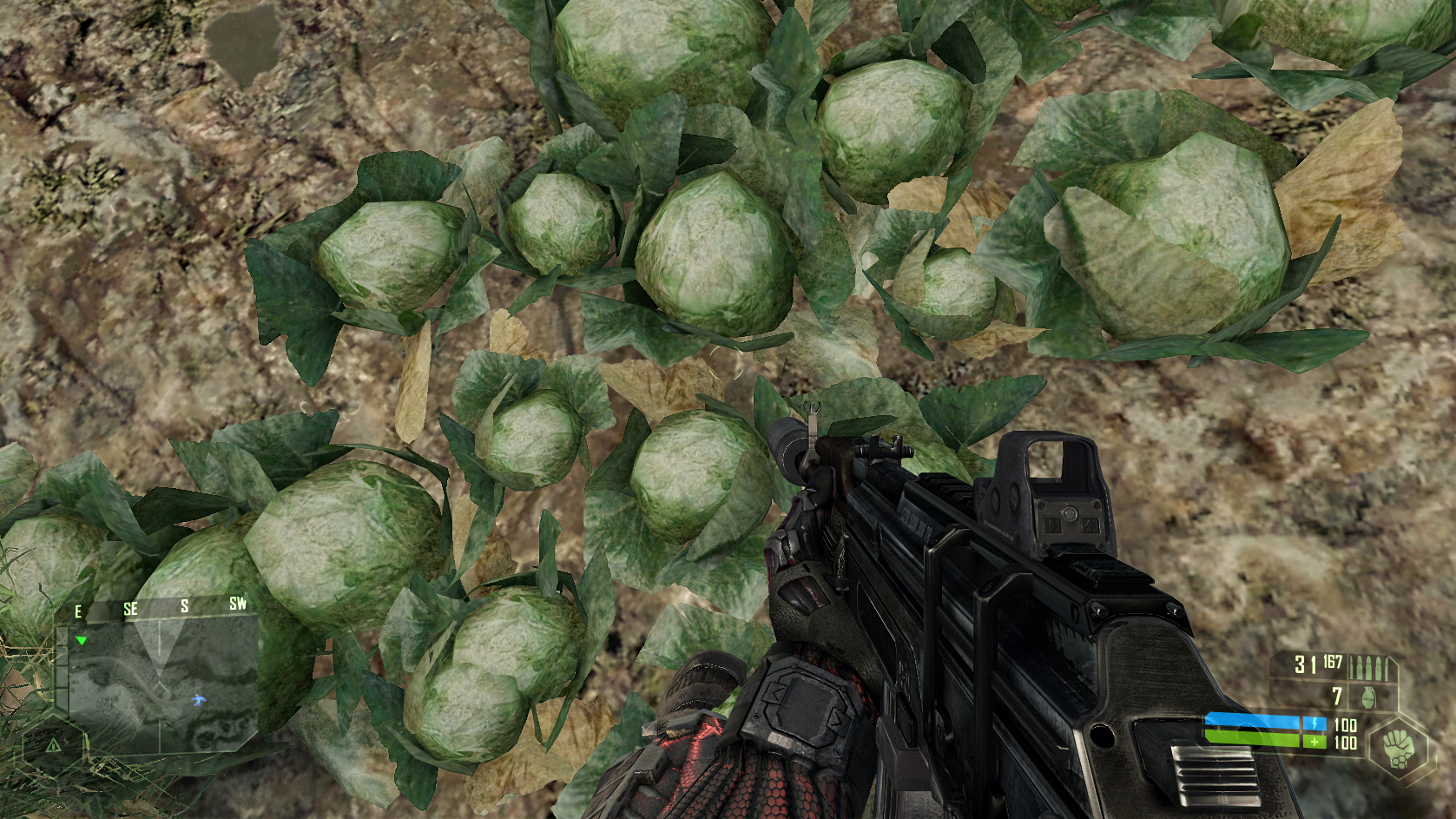 Crysis at 1080p with the graphics maxed out (Ryzen 7 2700X, GTX 1080 Ti). Doesn't that lettuce look good?! (Screenshot: Joanna Nelius (Gizmodo)