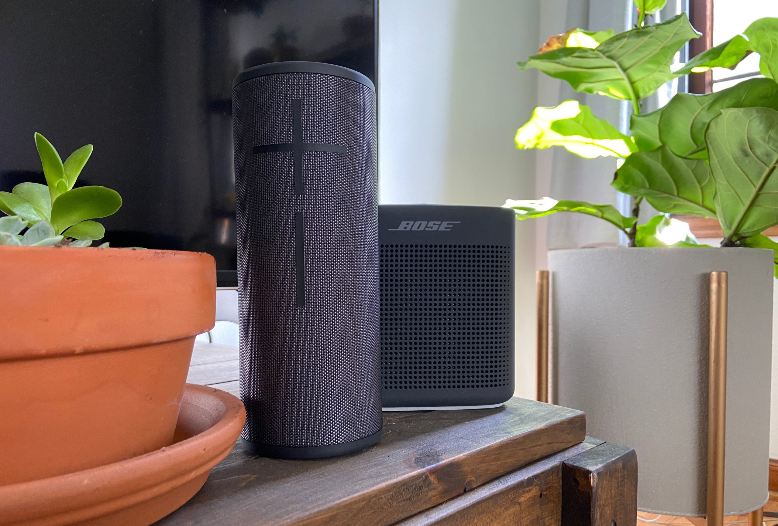 Ultimately, the Soundlink Colour 2 proves a trusty go-to on a budget. The Boom 3 wins out overall for ruggedness and true portability. (Photo: Catie Keck/Gizmodo)