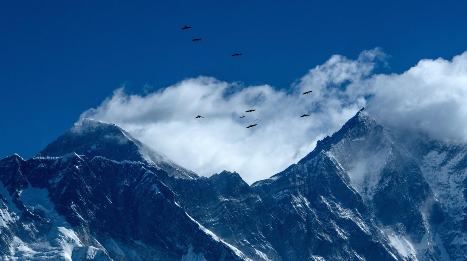 Birds fly over Mount Everest. (Image: PRAKASH MATHEMA, Getty Images)
