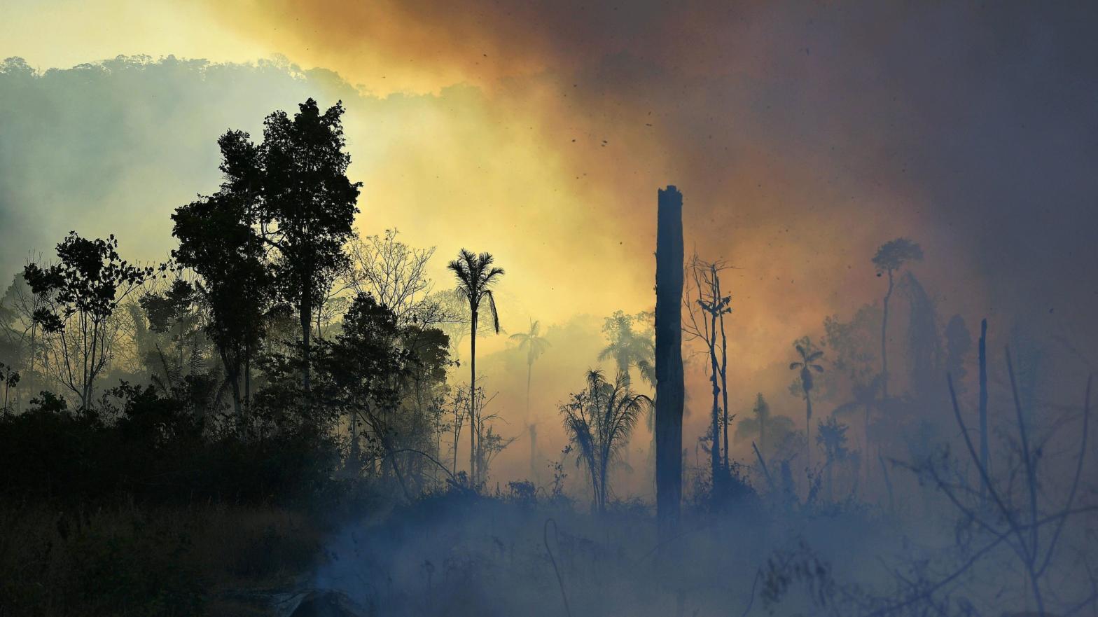 Smoke rises from an illegally lit fire in a section of Amazon rainforest, south of Novo Progresso in Para state, Brazil, on August 15, 2020.  (Photo: Carl De Souza, Getty Images)