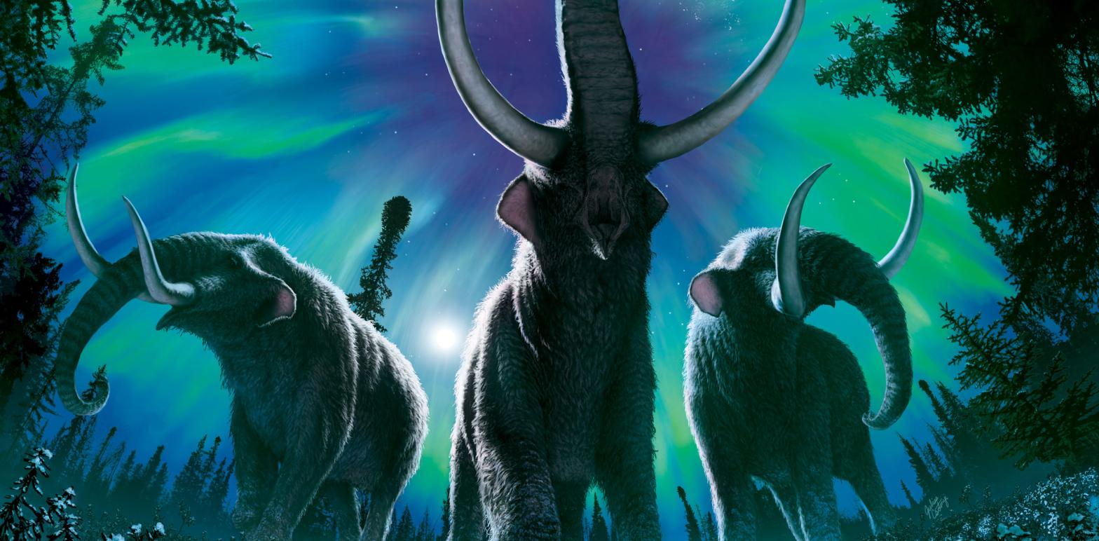 Artistic rendering of mastodons.  (Illustration: Julius Csotonyi)