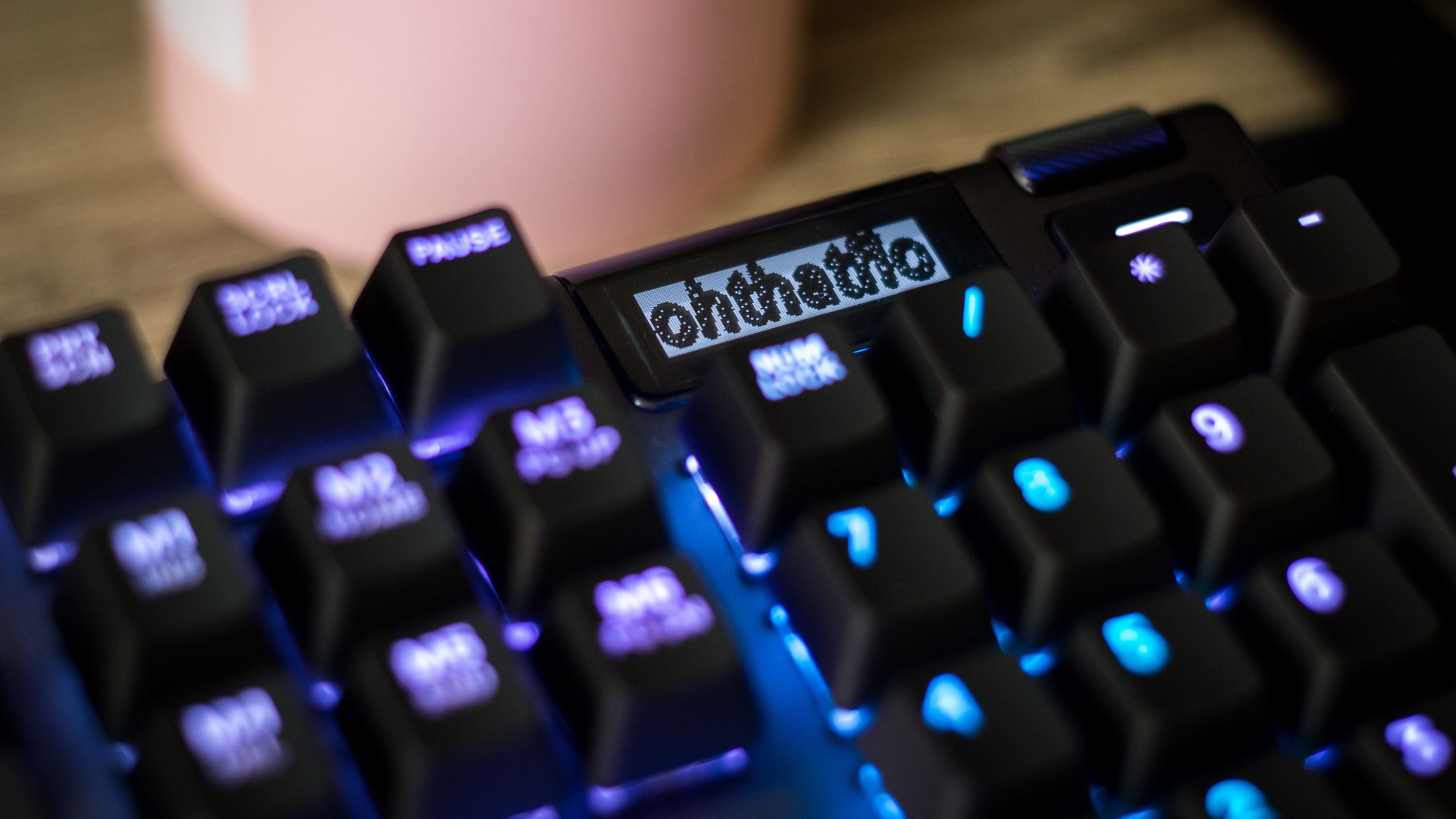Upload a custom photo through the SteelSeries Engine to display it on the Apex Pro.  (Photo: Florence Ion/Gizmodo)