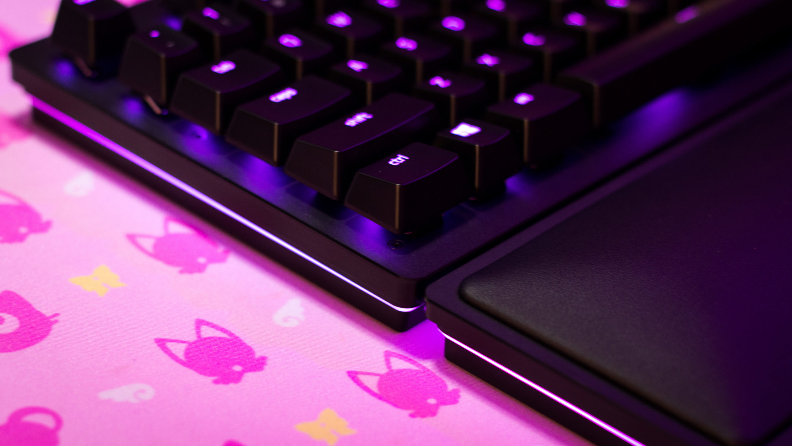 You know you're feeling the lighting in the wrist rest. (Photo: Florence Ion/Gizmodo)