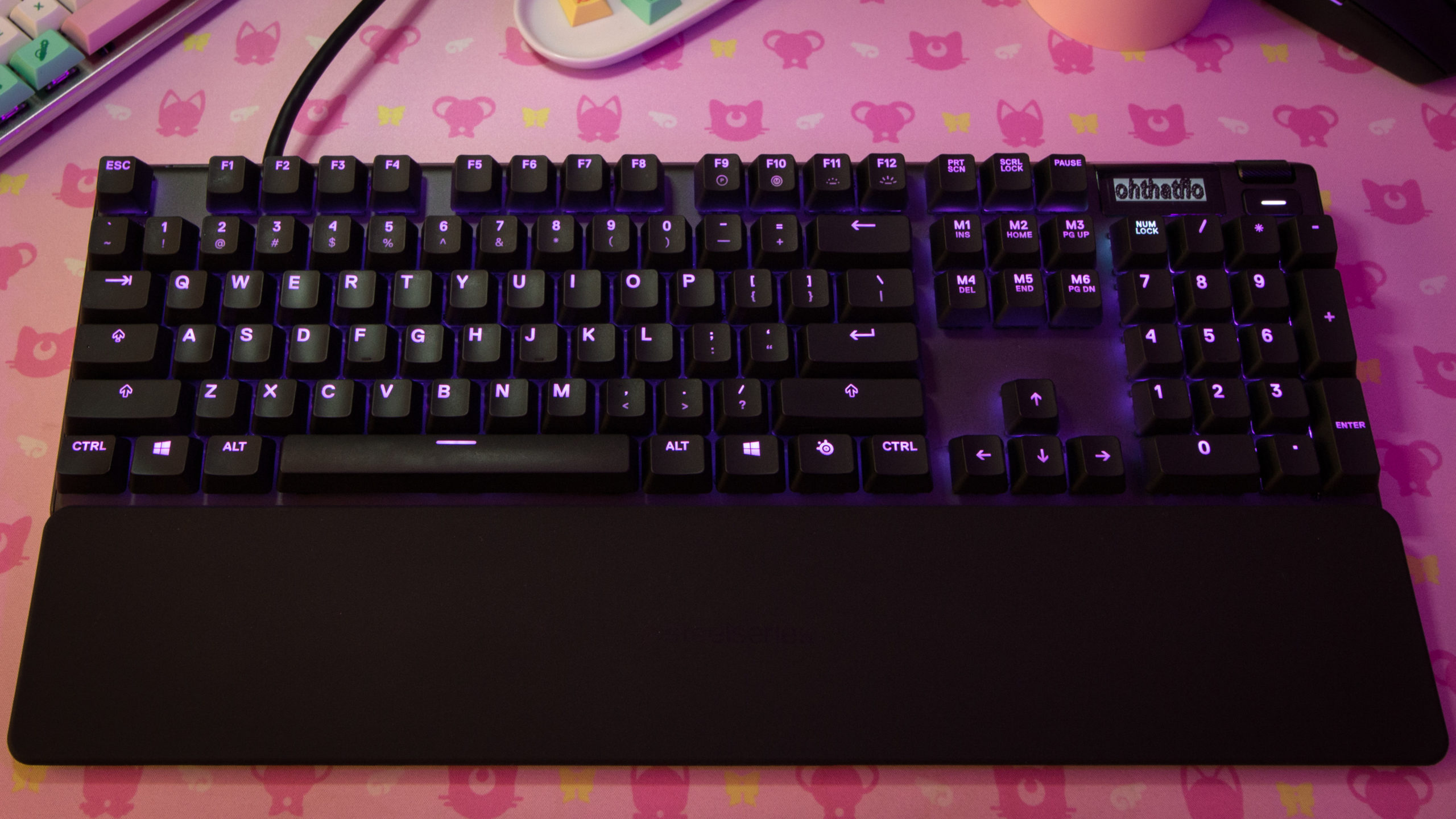The SteelSeries Apex Pro is an all-around great mechanical keyboard whether you play games or throw down words for a living. (Photo: Florence Ion/Gizmodo)